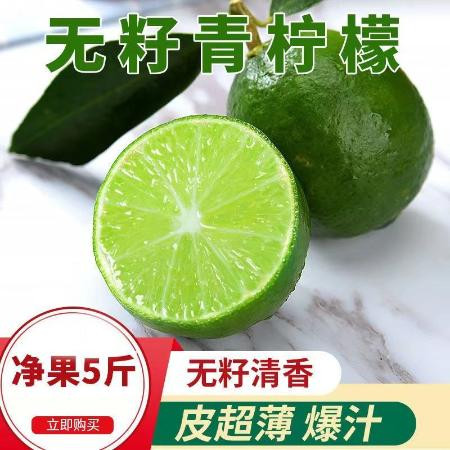 无籽青柠檬薄皮无籽新鲜水果当季水果小青柠香水柠檬奶茶店专用图片