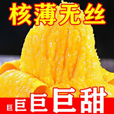 文枝 【精品】海南小台农芒果