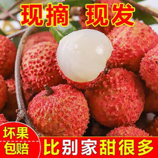 【发货中】正宗茂名黑叶荔枝爆甜4/6斤新鲜水果非桂味海南妃子笑