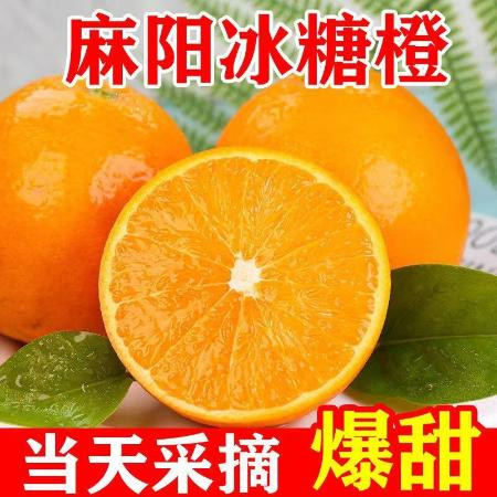 文枝 麻阳冰糖橙