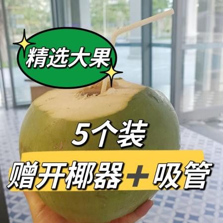 薄皮大果海南新鲜超软青椰椰子孕妇小孩老人爱喝天然整箱1/5个装图片