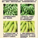 文枝 云南高山超甜香蕉9斤