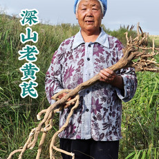 颐和道地 野生黄芪大片特级甘肃中药材