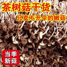  广莲珍 广昌茶树菇 未开伞5号茶薪菇 新鲜干货 食材清香菇类 250克