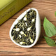 申成 茉莉花茶2023新茶浓香型茶叶绿茶罐装散装