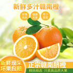 脐橙甜橙产地直发新鲜水果橙子 和百圆