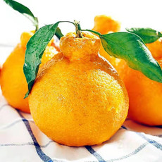 不知火丑橘新鲜水果2斤当季甜丑八怪耙耙桔柑橘子整箱 包邮 悟岳