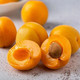  现摘大黄杏子新鲜水果当季陕西时令孕妇酸甜脆鲜  悟岳