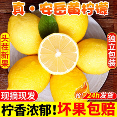 柠檬新鲜安岳黄柠檬尤力克皮薄多汁 包邮 悟岳