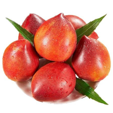红皮黄肉油桃5斤应季新鲜水果 悟岳图片