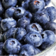  蓝莓新鲜水果当季现摘【顺丰包邮】【单果12mm+】  悟岳