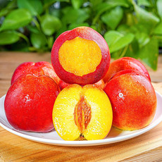 悟岳 砀山油桃5斤【红皮黄肉】当季新鲜水果