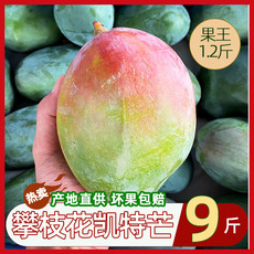 悟岳 【助农】凯特芒果9斤新鲜水果当季现摘整箱包邮