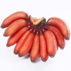悟岳 红美人香蕉5斤新鲜水果现摘火龙焦芭蕉小米蕉红香焦