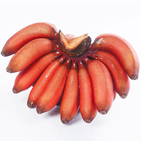 悟岳 红美人香蕉5斤新鲜水果现摘火龙焦芭蕉小米蕉红香焦图片