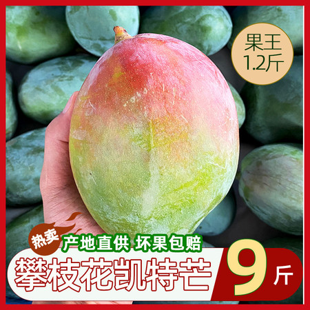 限量【秒杀39.8元】攀枝花凯特大芒果9斤芒新鲜爆甜多汁皮薄 悟岳图片