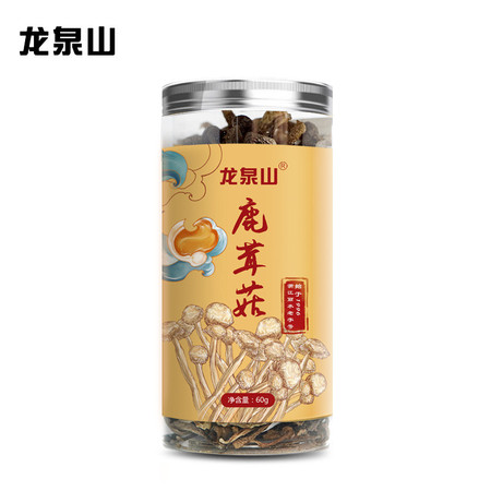 龙泉山 鹿茸菇60g（罐装）