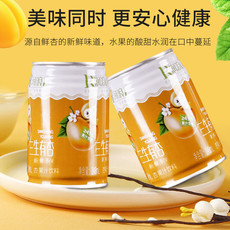 润浪 金银花饮料248ml*20罐