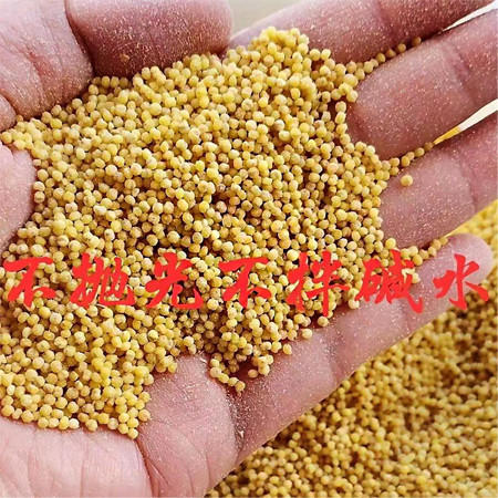 农家自产 2023农家自产 原生态小黄米 黄小米 月子米 不抛光不染色图片