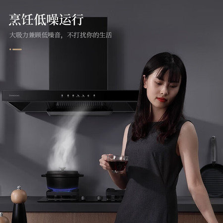 长虹/CHANGHONG 欧式家用厨房抽油烟机图片
