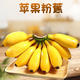 农家自产 广西苹果蕉正宗粉蕉3斤新鲜种植自然熟当季水果香蕉产地直发