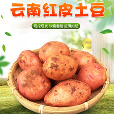 农家自产 云南红皮黄心粉糯小土豆3斤农家自种新鲜马铃薯番薯产地直发