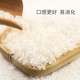 吉田 江西吉田井冈山2号软粘大米专利新品种大米山区种植好吃的丝苗米