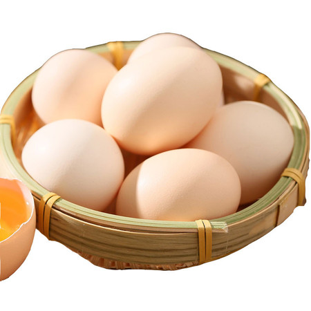 神丹开窝鲜鸡蛋农家谷物喂养初产蛋40枚