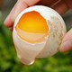 农家自产 新鲜鹅蛋农家散养生鹅蛋土鹅蛋