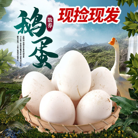  真鹅蛋【6枚券后36.8元】 农家散养新鲜鹅蛋大规格 缘琳山图片