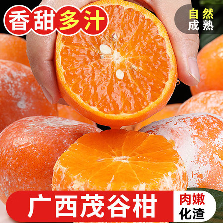  【领劵立减】 邮兔 广西茂谷柑当季桔子脏脏柑橘石灰柑新鲜水果图片