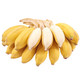  【券后26.8一箱】 正宗苹果蕉新鲜现摘香蕉 邮乡甜