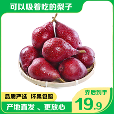  【劵后19.9元】 红啤梨新鲜现摘当季水果梨子 邮乡甜