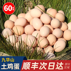  【领券下单】 邮乡甜 九华山散养童子鸡 散养土鸡蛋