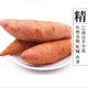 九连丰  西瓜红蜜薯新鲜10斤板栗红薯农家自种红心地瓜糖心番薯
