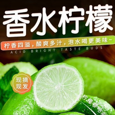 九连丰 海南香水柠檬10斤新鲜现摘当季奶茶店专用广东青柠檬整箱包邮