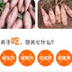 九连丰  西瓜红蜜薯新鲜10斤板栗红薯农家自种红心地瓜糖心番薯