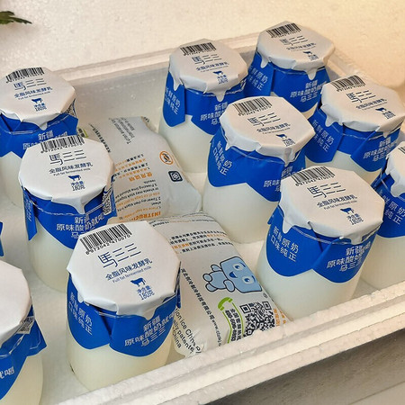 马三三 新疆原味老酸奶风味牛奶发酵乳180gx12瓶 乳酸菌图片