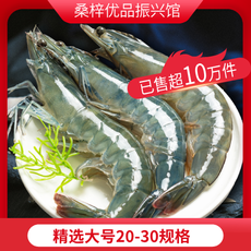海底尤物 【发顺丰】海捕盐冻大虾20/30规格 净重1.65kg以上