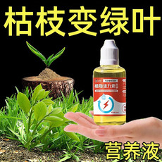 植物活力素养花通用型家用快速变活生根剂壮苗发根浓缩植物营养液3瓶