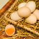 寻鲜鸟 30枚装新鲜土鸡蛋