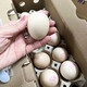 宏华 【柳州邮政大厅领取】每周鲜蛋土鸡蛋50枚装
