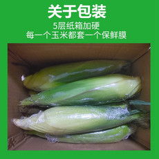 邮政农品 上思糯玉米当季/净重3斤（5-7个）