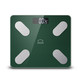 乐扣乐扣/LOCK&LOCK 衡器智能家用体脂秤绿色1.5V