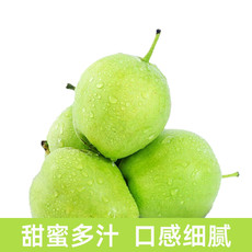栗娅 秭归香甜脆梨子（中果）4.5斤/箱