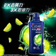 清扬/CLEAR 清爽控油洗发露500ml