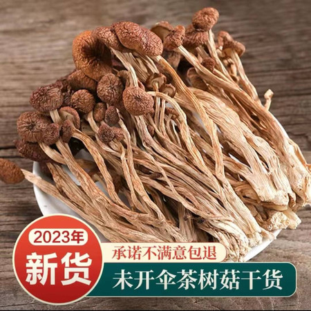 享村味 茶树菇礼包图片