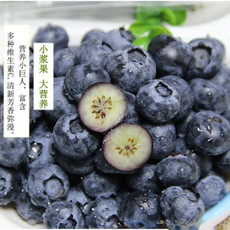 诺水 通江龙池谷蓝莓【会员享实惠】500g/盒/38.9元