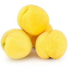 卡普瓦斯 大黄桃甜新鲜水果黄毛脆软正宗黄金蜜油锦绣水蜜桃