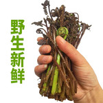 白山谷韵 蕨菜2斤